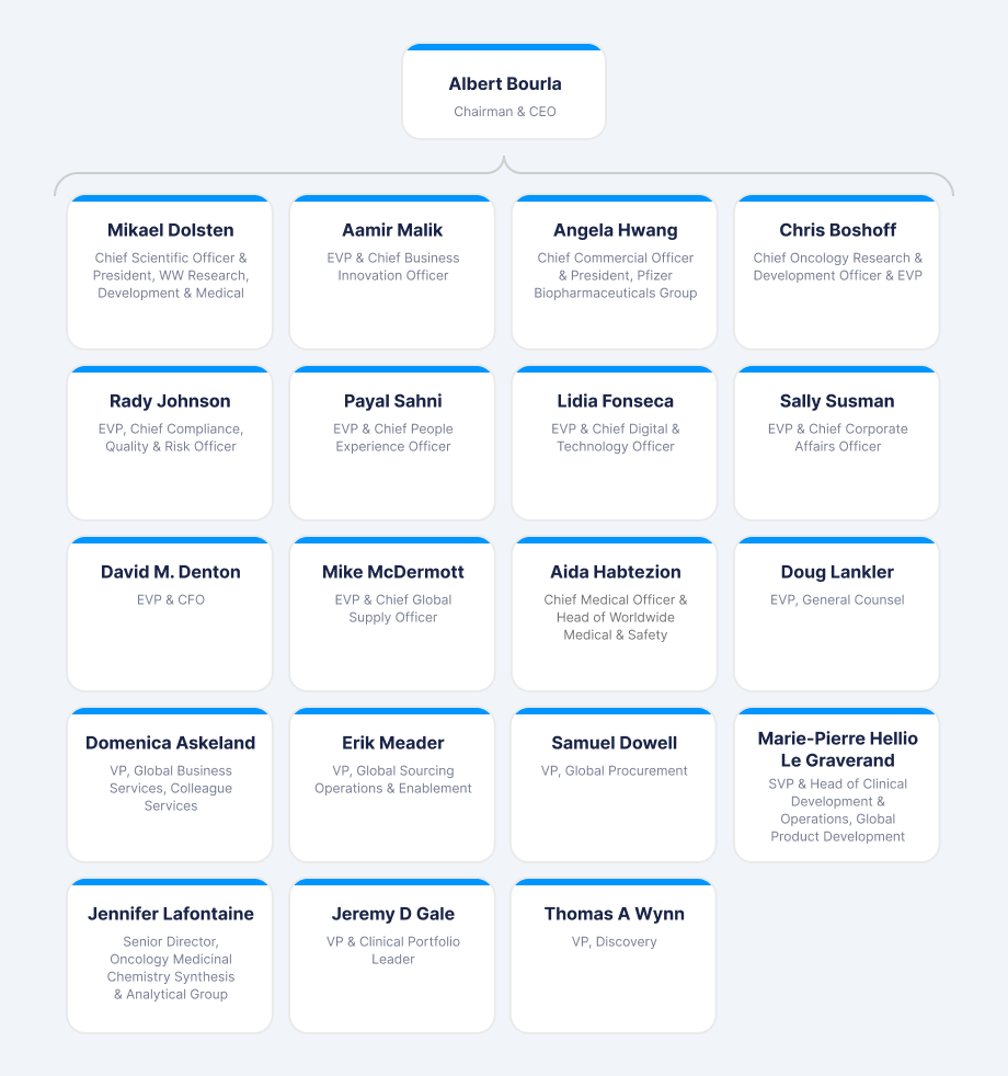 Pfizer's organizational chart showing the CEO and executive leadership team